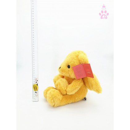 Angel Bear SoftToys/PlushToys/KidsToys 25-35cm  天使熊娃娃玩具公仔25厘米-35厘米