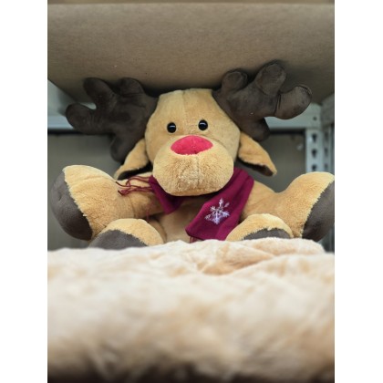 Christmas Deer Pillow With Blanket   圣诞麋鹿枕头被