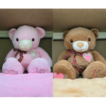 Love Teddy Pillow With Blanket   爱心泰迪枕头被