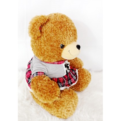 {M'SIA STOCK} Teddy Bear SoftToys/PlushToys/KidsToys 50cm 穿裙泰迪熊娃娃玩具公仔50厘米 Patung Beruang